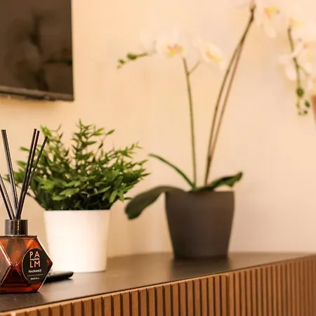 Dragonetti Luxury House